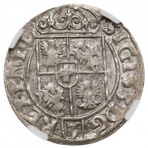 Žigmund III Vasa, polostopa 1623 Bydgoszcz - NGC MS63