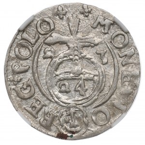 Žigmund III Vasa, polostopa 1623 Bydgoszcz - NGC MS63