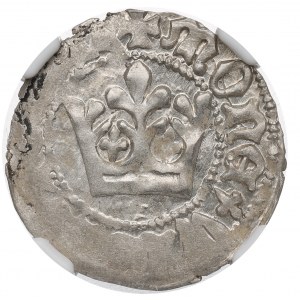 Vladislaus II, halfgroat - NGC MS62