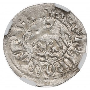 Władysław II Jagiełło, polgroš bez dátumu, Krakov - NGC MS62