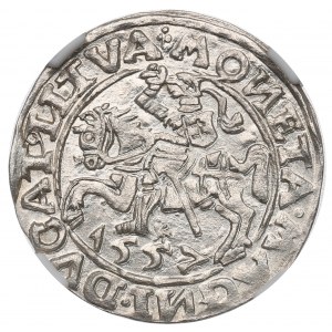 Žigmund II August, polgroš 1557, Vilnius, Behmova pečiatka - vzácne - NGC MS63