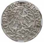 Sigismund II Augustus, Half-groat 1557, Vilnius - LI/LITVA NGC MS63