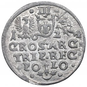 Žigmund III Vaza, Trojak 1624, Krakov - nepopísané