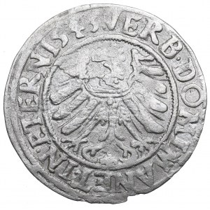 Schlesien, Duchy of Brieg-Leignitz-Wholau, Groschen 1543