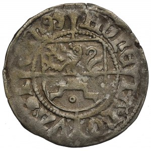 Pomoransko, Štetínske vojvodstvo, Boguslaw X, Szeląg 1491, Dąbie - GGN