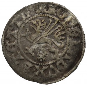 Pommern, Herzogtum Szczecin, Boguslaw X, Szeląg 1491, Dąbie - GGN