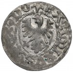 Casimir IV Jagiellonian, Shelagus, Gdansk, legend MOIICT DAI - RARE