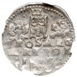 Zygmunt III Waza, Trojak 1600, Lublin - RZADKI - NGC MS62