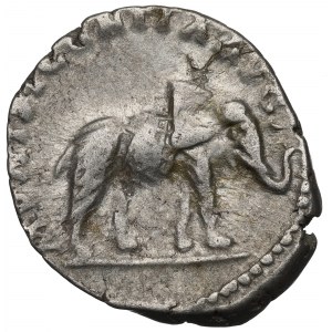 Römisches Reich, Septimius Severus, Denarius - MVNIFICENTIA AVG