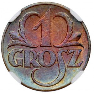 II Republic of Poland, 1 groschen 1923 - NGC MS64 RB