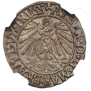 Prusy Książęce, Albrecht Hohenzollern, Grosz 1545, Królewiec - NGC MS62