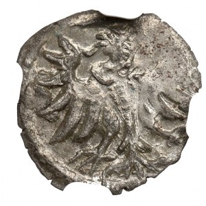 Sigismund II Augustus, Denarius 1555, Danzig - NGC MS64