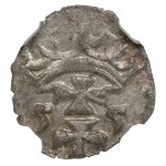 Žigmund II Augustus, denár 1555, Gdansk - NGC MS64