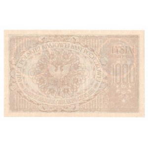 II RP, 1000 marek polskich 1919 AB