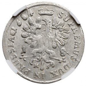 Kniežacie Prusko, Fridrich Viliam, Ort 1684, Königsberg - NGC MS61