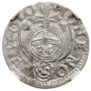 Sigismund III Vasa, Halbspur 1623 Bydgoszcz - NGC MS63