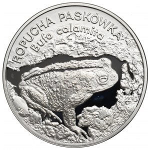 III RP, 20 złotych 1998 Ropucha Paskówka