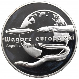 III RP, 20 złotych 2003 Węgorz europejski