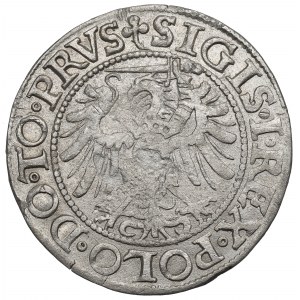 Sigismund I. der Alte, Grosz 1539, Elbląg