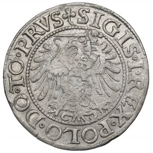 Sigismund I The Old, Groschen 1539, Elbing