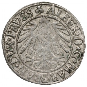 Germany, Preussen, Albrecht Hohenzollern, Groschen 1541, Konigsberg