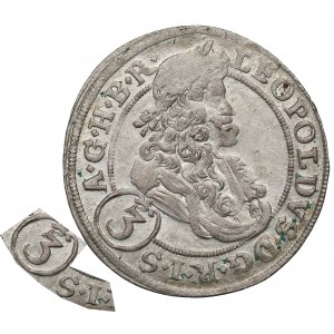 Slezsko pod vládou Habsburků, Leopold I., 3. krajcary 1699, Brzeg - UNTITLED