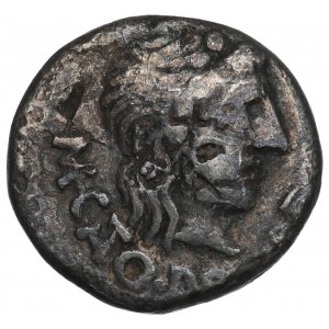 Römische Republik, M. Porcius Cato (47-46 v. Chr.), Quinar