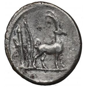 Roman Republic, Cn. Plancius, Denarius