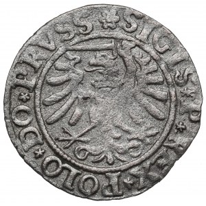 Sigismund I the Old, Schilling 1533, Elbing