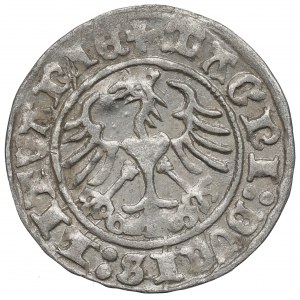 Žigmund I. Starý, polgroš 1511, Vilnius - 1511/LITVANIE