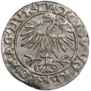 Sigismund II Augustus, Halfgroat 1553, Vilnius