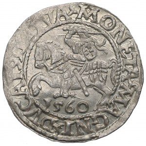 Sigismund II Augustus, Halfgroat 1560, Vilnius - L/LITVA