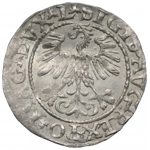 Zikmund II August, půlgroš 1560, Vilnius - L/LITVA