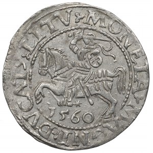 Sigismund II. Augustus, Halbpfennig 1560, Wilna - L/LITV