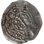 Boleslaus III, Denarius