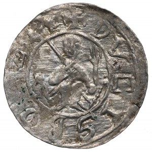 Boleslaus III, Denarius