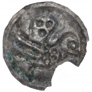 Kujawy(?), brakteat guziczkowy II poł. XIII w. PTAK w lewo - rzadki