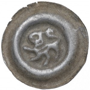 Sliezsko, široký brakteát z 13. storočia, lev vľavo