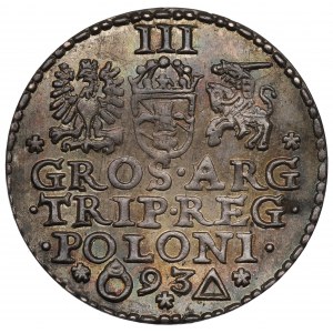 Žigmund III Vasa, Trojka 1593, Malbork - ILUSTROVANÉ