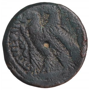 Ptolemäisches Ägypten, Ptolemäus, Bronze