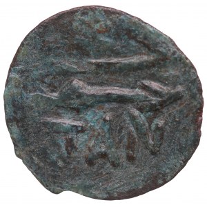 Pantikapaion, Bronze