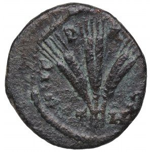 Roman Provincial, Alexander Severus, ae Capadocia