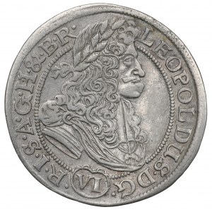 Sliezsko pod vládou Habsburgovcov, Leopold I., 6 krajcars 1688, Wrocław