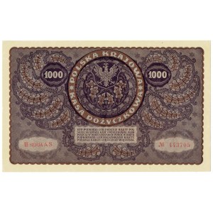 II RP, 1000 polnische Mark 1919 3. Serie AS