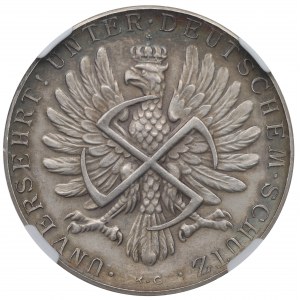 II RP, medaila Matka Božia 1928/1939 - Amrogovič NGC MS62