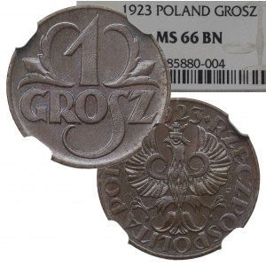 II RP, 1 groš 1923 - NGC MS66 BN