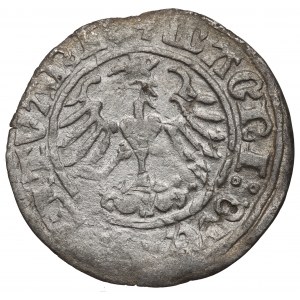 Sigismund I. der Alte, Halber Pfennig 1510, Vilnius