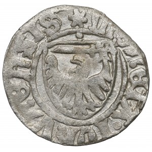 Kasimir IV. Jagiellone, Schellfisch ohne Datum, Torun - Seltener DIPPEL auf dem TARGET