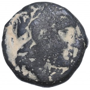 Königreich der Seleukiden, Seleukos I. Nikator, Bronze