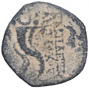 Königreich der Seleukiden, Antiochus VIII Epiphanes, Ae